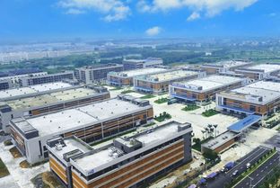 发挥自治区电子信息龙头企业作用推动广西外贸增长