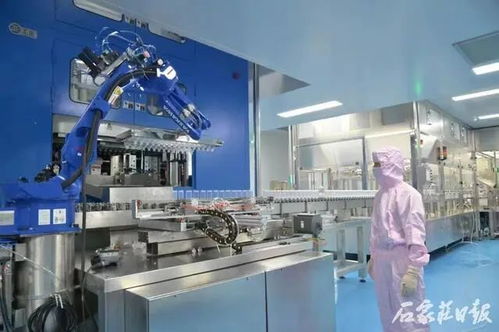 数量全省第一 石市新增31家省制造业单项冠军